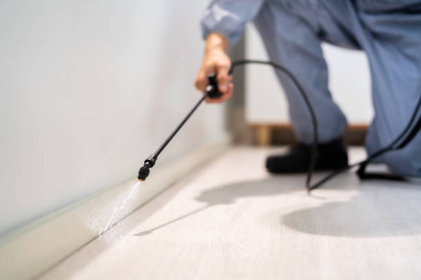 Licensed Cockroach Control service in Telfair County County, GA - Nex Pest Control